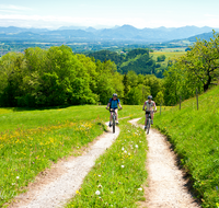 fileadmin/roha/images_galerie/Freizeit-Sport/Mountainbike-Radfahren/SPO-MOUN-TEIS-HOCHH-0003-D-roha-Sport-Moutainbike-Neukirchen-Hochhorn-Feldweg.png