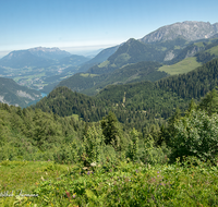 fileadmin/roha/images_galerie/orte_landschaft/Berchtesgaden/Jenner-Schoenau/BGD-JENN-GOTZ-0005-01-D-roha-Berchtesgaden-Jenner-Gotzen-Alm-Hoher-Goell-Untersberg.png