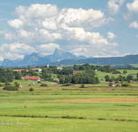 fileadmin/roha/Interessantes-in-Kurzform/HAARM-0048-02-D-roha-Abtsdorf-Laufen-Haarmoos-Stadel-Saaldorf-Blumenwiese.png