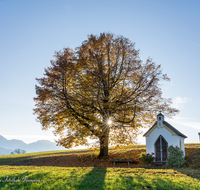 fileadmin/roha/images_galerie/kirche_religion/Saaldorf/KKKM-SAALD-SILL-0021-D-roha-Kapelle-Saaldorf-Sillersdorf-Hochstaufen-Zwiesel-Sonne.png