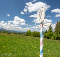 fileadmin/roha/images_galerie/orte_landschaft/Teisendorf/Neukirchen/LANDA-GRENZE-0012-D-roha-Landart-Grenze-Bayern-Chiemgau-Salzburg-Rupertiwinkel-historisch-Teisendorf-Siegsdorf.png