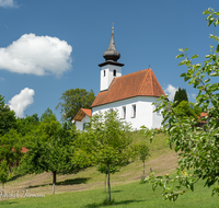 fileadmin/roha/images_galerie/kirche_religion/Saaldorf/SAAL-SILL-0006-D-roha-Saaldorf-Sillersdorf-Kirche-St-Georg-Obst-Baum.png