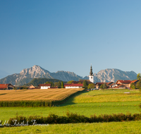 fileadmin/roha/images_galerie/orte_landschaft/Ainring/AINR-STRASS-0021-D-roha-Ainring-Strass-Dorf-Hoegl-Hochstaufen-Zwiesel-Getreidefeld.png