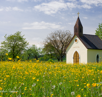 fileadmin/roha/images_galerie/kirche_religion/Fridolfing/KKKM-FRID-PIET-0003-D-roha-Kapelle-Fridolfing-Pietling-Fruehling-Blumenwiese.png