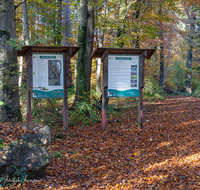 fileadmin/roha/images_galerie/orte_landschaft/Laufen/Osinger-Wald/LAUF-OSI-WA-0001-0945-D-roha-Laufen-Osinger-Wald-Lehrpfad-Hinweistafel.png