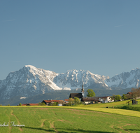 fileadmin/roha/images_galerie/orte_landschaft/Teisendorf/TEI-WI-0021-D-roha-Teisendorf-Wimmern-Oed-Hochstaufen-Zwiesel-Landwirtschaft-Fruehling.png