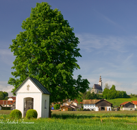 fileadmin/roha/images_galerie/orte_landschaft/Fridolfing/FRID-PIETL-0002-D-roha-Fridolfing-Pietling-Fruehling-Kirche-Kapelle-Blumenwiese.png