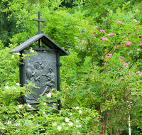 fileadmin/roha/images_galerie/kirche_religion/Ainring-Kreuzweg/KKKM-AINR-KR-01-0007-12-D-roha-Kreuzweg-Ainring-Kirche-Heckenrose.png