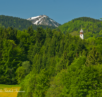 fileadmin/roha/images_galerie/orte_landschaft/Siegsdorf/SIE-MA-0017-D-roha-Siegsdorf-Maria-Eck-Wallfahrtsort-Kirche-Kirchturm-Wald-Hochfelln.png