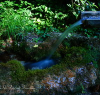 fileadmin/roha/images_galerie/Wasser-Brunnen/WAS-BRUN-PON-0002-D-roha-Wasser-Heil-Quelle-Ponlach-Tittmoning-Brunnen.png