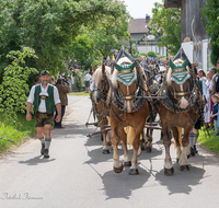 fileadmin/roha/images_galerie/brauchtum/Leonhardiritt/Holzhausen_01/Holzhausen-Ritt-2019/BR-PFRI-HOLZ-2019-1035-0-02-D-roha-Brauchtum-Pferdeumritt-Leonhardiritt-Holzhausen.png