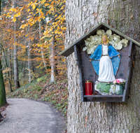 fileadmin/roha/images_galerie/kirche_religion/Anger/KKKM-ANG-HOEG-0018-D-roha-Weg-Kreuz-Anger-Hoeglwoerth-Schutzmantel-Madonna-Herbst.png