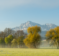 fileadmin/roha/images_galerie/orte_landschaft/Teisendorf/IN-LANDS-Teisendorf/LANDS-TEIS-ALM-0040-D-roha-Landschaft-Teisendorf-Hochstaufen.png