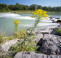 fileadmin/roha/images_galerie/wasser/LAUF-SALZA-SOHL-0004-D-roha-Laufen-Salzach-Sohlschwelle.png