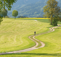 fileadmin/roha/images_galerie/Freizeit-Sport/Mountainbike-Radfahren/SPO-MOUN-ANG-STEI-0018-D-roha-Sport-Mountainbike-Anger-Weg-Radfahrer-Steinhoegl.png