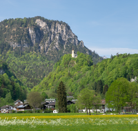 fileadmin/roha/images_galerie/orte_landschaft/Bad_Reichenhall/BAD-REI-PANKR-0021-D-roha-Bad-Reichenhall-Pankraz-Kircherl-Karlstein-Fruehling-Blumenwiese.png