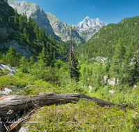 fileadmin/roha/images_galerie/orte_landschaft/Berchtesgaden/Nationalpark_Klausbachtal_Wimbachtal_-Klamm/BGD-NAT-FUNT-WATZ-0006-D-roha-Berchtesgaden-Nationalpark-Steinernes-Meer-Watzmann-Totholz.png