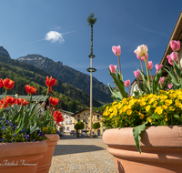 fileadmin/roha/images_galerie/orte_landschaft/Bad_Reichenhall/BR-MAIB-BAD-REI-FL-0005-D-roha-Maibaum-Bad-Reichenhall-Florianiplatz.png