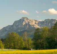 fileadmin/roha/images_galerie/orte_landschaft/Teisendorf/IN-LANDS-Teisendorf/LANDS-TEIS-0002-03-D-roha-Landschaft-Teisendorf-Karlsbach-Fruehling-Blumenwiese-Hochstaufen.png