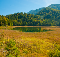 fileadmin/roha/images_galerie/orte_landschaft/Reit_im_Winkl/REIT-IM-WI-WEITS-0011-D-roha-Reit-im-winkl-Weitsee-Herbst-Wasser-See.png