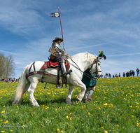 fileadmin/roha/images_galerie/brauchtum/Leonhardiritt/Traunstein-Georgiritt/BR-PFRI-TRAUNST-2019-1054-04-D-roha-Brauchtum-Pferdeumritt-Georgiritt-Traunstein-Ettendorfer-Kircherl.png