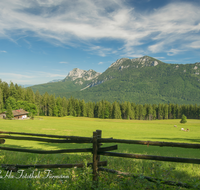 fileadmin/roha/images_galerie/orte_landschaft/Inzell/INZ-BAECK-ALM-0008-D-roha-Inzell-Baeckeralm-Hochstaufen-Zaun.png