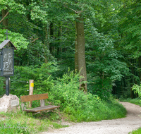 fileadmin/roha/images_galerie/kirche_religion/Ainring-Kreuzweg/KKKM-AINR-KR-07-0057-D-roha-Kreuzweg-Ainring-Ulrichshoegl-Waldrand-Bank.png