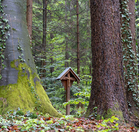 fileadmin/roha/images_galerie/kirche_religion/Teisendorf/KKKM-TEIS-WEG-WALD-0034-01-D-roha-Wegkreuz-Wald-Baum-Teisendorf.png