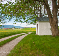 fileadmin/roha/images_galerie/kirche_religion/Weildorf/KKKM-WEIL-OBERR-0006-D-roha-Kapelle-Oberreuten-Weildorf-Wimmern-Weg-Kirschbaum.png