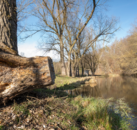 fileadmin/roha/images_galerie/Hintergrund-Download/2048x1152/LANDS-SAAL-SILL-DUR-0001-D-roha-Landschaft-Saaldorf-Sillersdorf-Sur.png