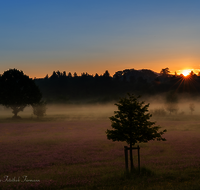 fileadmin/roha/images_galerie/stimmung-Sonne/Sonnenaufgang/SON-AU-PAT-KOTH-0001-0530-01-D-roha-Sonnenaufgang-Kothbruenning-Patting-Blumenwiese.png