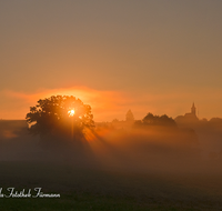 fileadmin/roha/images_galerie/orte_landschaft/Abtsdorf-Abtsdorfer-See/ABTS-SON-AU-0003-D-roha-Abtsdorf-Sonnenaufgang-Laufen-Stimmung.png