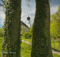 fileadmin/roha/images_galerie/orte_landschaft/Ainring/AINR-KI-0011-D-roha-Ainring-Kirche-St-Laurentius-Baumstamm.png