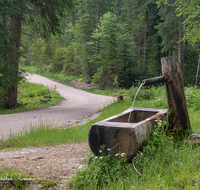 fileadmin/roha/images_galerie/orte_landschaft/Ruhpolding/LANDA-BRUN-ROETHL-0006-D-roha-Landart-Brunnen-Roethelmoos-Wasser-Ruhpolding.png