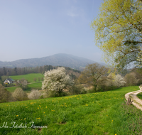 fileadmin/roha/images_galerie/wege/LANDS-ANG-HOEGLW-0002-D-roha-Landschaft-Anger-Hoeglwoerth-Fruehling-Weg.png