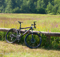 fileadmin/roha/images_galerie/Freizeit-Sport/Mountainbike-Radfahren/REIT-IM-WI-WEITS-0013-03-D-roha-Reit-im-Winkl-Weitsee-Herbst-Wasser-See-Mountainbike-Blumenwiese.png