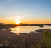 fileadmin/roha/images_galerie/stimmung-Sonne/Sonnenuntergang/SO-UN-AIN-MOOR-0006-D-roha-Sonne-Sonnenuntergang-Ainringer-Moor.png