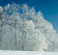 fileadmin/roha/images_galerie/Winter/WINT-HAARM-0015-D-roha-Winter-Haarmoos-Schnee-Rauhreif.png