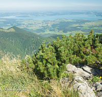 fileadmin/roha/images_galerie/orte_landschaft/Bergen/BERG-HOCHF-0004-0-1-D-roha-Bergen-Hochfelln-Gipfel-Panorama-Chiemsee.png