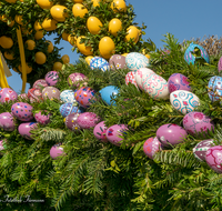 fileadmin/roha/images_galerie/brauchtum/Ostern/BR-OST-BRUNNEN-0005-3-D-roha-Brauchtum-Ostern-Osterbrunnen-Bad-Reichenhall-Eier.png