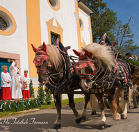 fileadmin/roha/images_galerie/brauchtum/Leonhardiritt/Inzell/BR-PFRI-INZ-0049-D-roha-Brauchtum-Pferdeumritt-Inzell-Michaeliritt-Pferd-Reiter-Pfarrer-Segen.png