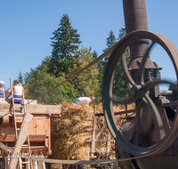 fileadmin/roha/images_galerie/arbeit_technik/KIRCH-BAU-MUS-DAMPF-0007-2-D-roha-Kirchanschoering-Dampfdreschen-Hof-Landwirtschaft-Museum.png