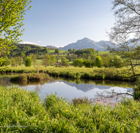 fileadmin/roha/images_galerie/orte_landschaft/Teisendorf/IN-LANDS-Teisendorf/LANDS-TEIS-KUMPF-0007-D-roha-Teisendorf-Landschaft-Kumpfmuehle-Weiher-Vachenlueg-Hochstaufen-Zwiesel.png