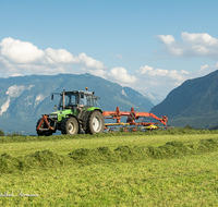 fileadmin/roha/images_galerie/Landwirtschaft/LANDW-MASCH-ANG-0001-D-roha-Landwirtschaft-Anger-Traktor-Untersberg.png