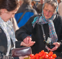 fileadmin/roha/images_galerie/orte_landschaft/Salzburg/Menschen-Gruenmarkt/SA-GRUENMARKT-0021-D-roha-Salzburg-Gruen-Markt-Leute-Schranne-Lampionblume.png