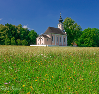 fileadmin/roha/images_galerie/kirche_religion/Waging/WAG-MUEHLB-0026-D-roha-Waging-Muehlberg-Kirche-Blumenwiese.png