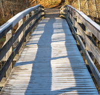 fileadmin/roha/images_galerie/orte_landschaft/Anger/Hoeglwoerth/WEGE-HOEGLW-0021-01-D-roha-Steg-Weg-Hoeglwoerther-See-Herbst-Wald-Rauhreif.png