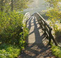 fileadmin/roha/images_galerie/orte_landschaft/Anger/Hoeglwoerth/WEGE-HOEGLW-0024-D-roha-Steg-Weg-Hoeglwoerther-See-Herbst-Stimmung.png