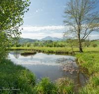 fileadmin/roha/images_galerie/orte_landschaft/Teisendorf/IN-LANDS-Teisendorf/LANDS-TEIS-KUMPF-0004-D-roha-Teisendorf-Landschaft-Kumpfmuehle-Weiher-Vachenlueg-Hochstaufen-Zwiesel.png