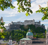 fileadmin/roha/images_galerie/orte_landschaft/Salzburg/SA-ALTST-0013-3-D-roha-Salzburg-Altstadt-Festung-Hohensalzburg-Dom-Kastanienbaum.png